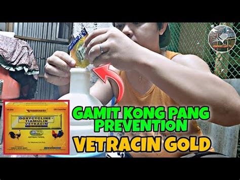 paano gamitin ang vetracin gold|NAG BIGAY AKO NG VETRACIN GOLD POWDER .
